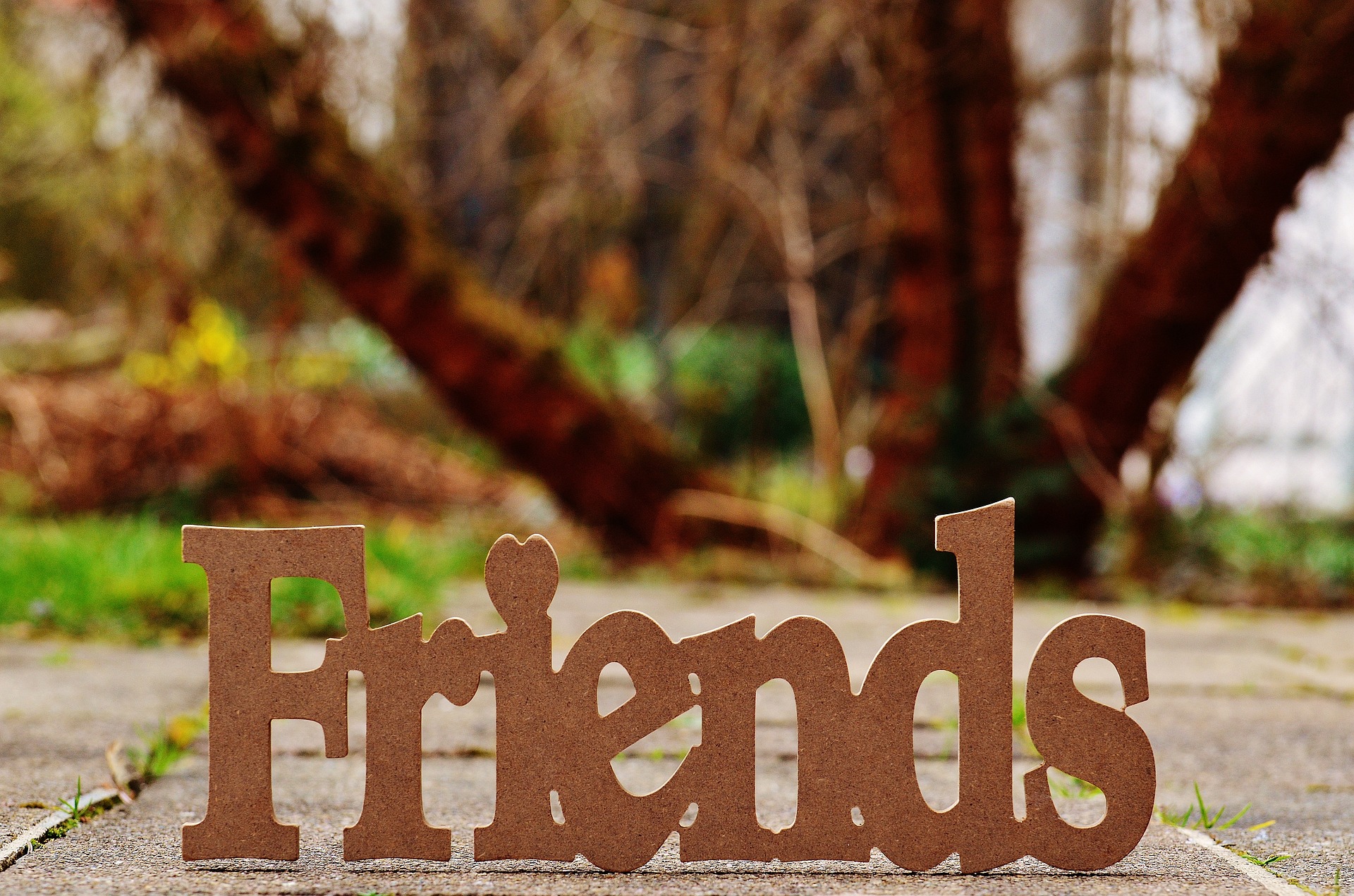 The Importance of Friends in Our Life